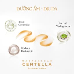 Thumbnail Kem dưỡng da giảm mụn Chiết Xuất Rau Má Skin1004 Madagascar Centella Soothing Cream 75ml (Mẫu mới) 3
