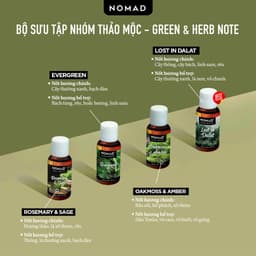 Thumbnail Tinh Dầu Thơm Phòng Nguyên Chất Đậm Đặc Nomad Signature Blend Oils 3