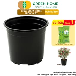 Thumbnail Chậu Trồng Cây Greenhome, 28x24cm, Nhựa Cứng, Thoát Nước Tốt, Nhiều Kích Thước Trồng Hoa, Kiểng Lá 1