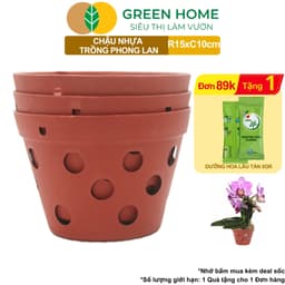 Thumbnail Chậu Trồng Lan Greenhome, R15xC10cm,  Nhựa Màu Gốm, Bền, Đẹp, Chống Rơi Vỡ, Thoáng Rễ, Giá Thành Tốt 1