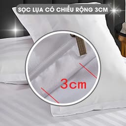 Thumbnail Vỏ Áo Gối Nằm Sọc 3F A Concept Decor Áo Gối Nằm Trắng sọc Chuẩn Khách Sạn Cao Cấp Vỏ Áo Gối Mềm Mịn 50x70cm 60x80cm 3