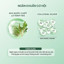 Thumbnail Sữa dưỡng keo bạc phục hồi, ngăn ngừa hại khuẩn cho da tổn thương, nhạy cảm 120ML SILVER DAILY CALMING MILKY ESSEN 4