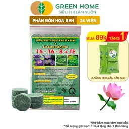 Thumbnail Phân Bón Hoa Sen Greenhome, Vỉ 24 Viên, Cây Thuỷ Sinh, Ngập Nước, Cho Hoa To, Hoa Đậm Màu, Lâu Tàn 1