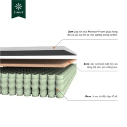 Thumbnail Nệm Lò Xo Độc Lập Cao Cấp Dày 25cm Zinus - 10in Extra Firm Spring Mattress 3