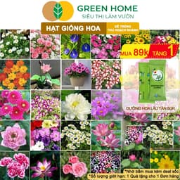 Thumbnail Hạt Giống Hoa GreenHome, Nhiều Loại, Rực Rỡ, Trồng Chậu, Dễ Trồng, Trồng Quanh Năm, Nhanh Ra Hoa 1