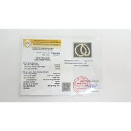 Thumbnail Dịch Vụ Kiểm Định Sản Phẩm Ngọc Trai Kèm Theo - Ngọc Trai Trường Thịnh 3