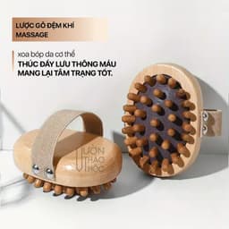 Thumbnail Lược chải đệm khí massage cơ thể bằng gỗ sồi cao cấp Vườn Thảo Mộc chính hãng giảm nhức mỏi toàn thân 3