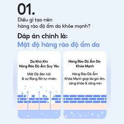 Thumbnail Kem Dưỡng Ẩm Sâu 100H & Phục Hồi Hàng Rào Bảo Vệ Laneige Water Bank Blue Hyaluronic Moisture Cream 50ml (Da Khô Xỉn Màu) 4