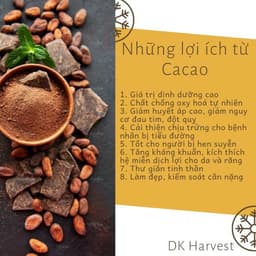 Thumbnail Bột Cacao Nguyên Chất DK Harvest - Chuẩn UTZ, 11-13% Bơ Cacao | Đậm Vị, Giàu Chất Chống Oxy Hóa, Cải Thiện Tâm Trạng 4