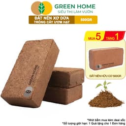 Thumbnail Đất Trồng Cây Greenhome, Viên Nén 500gr, Đã Qua Xử Lý, Bổ Sung Vi Sinh, Nở Gấp 5 Lần, Trồng Rau Hoa 1