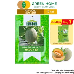 Thumbnail Hạt Giống Dưa Lưới Ruột Vàng GreenHome, Gói 10 Hạt, Dễ Trồng, Nảy Mầm Cao, Thu Hoạch Nhanh T14 1