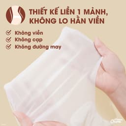 Thumbnail Quần lót lụa băng tàng hình kháng khuẩn không lộ viền siêu mỏng nhẹ thoáng khí Venus Charm 86518 4